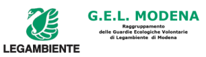 G.E.L. Modena
